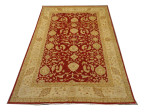 Chobi Rug 7x10Ft